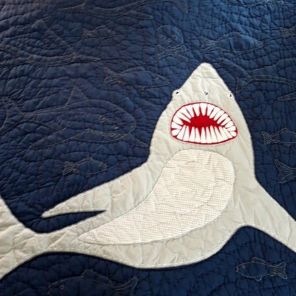 Used pottery barn shark bite quilt and sheet set